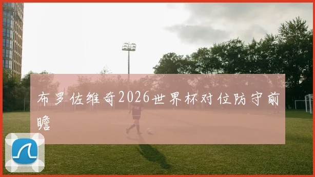 布罗佐维奇2026世界杯对位防守前瞻