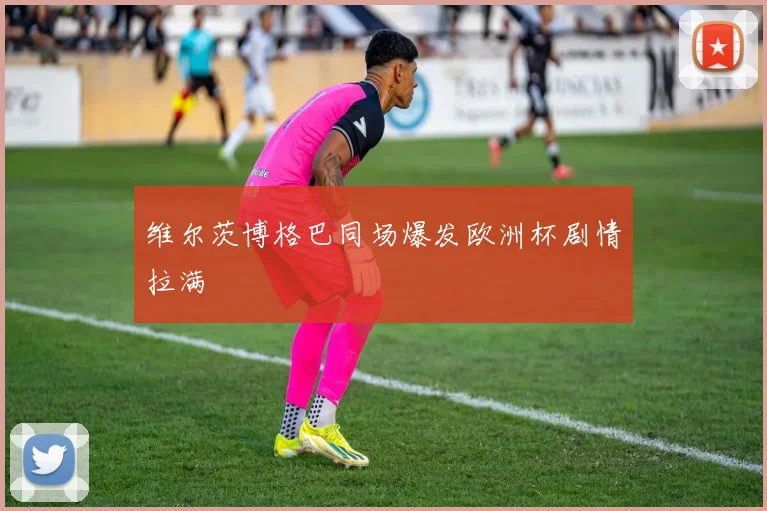 维尔茨博格巴同场爆发欧洲杯剧情拉满