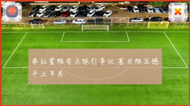 弗拉霍维奇点球引争议 塞尔维亚憾平土耳其